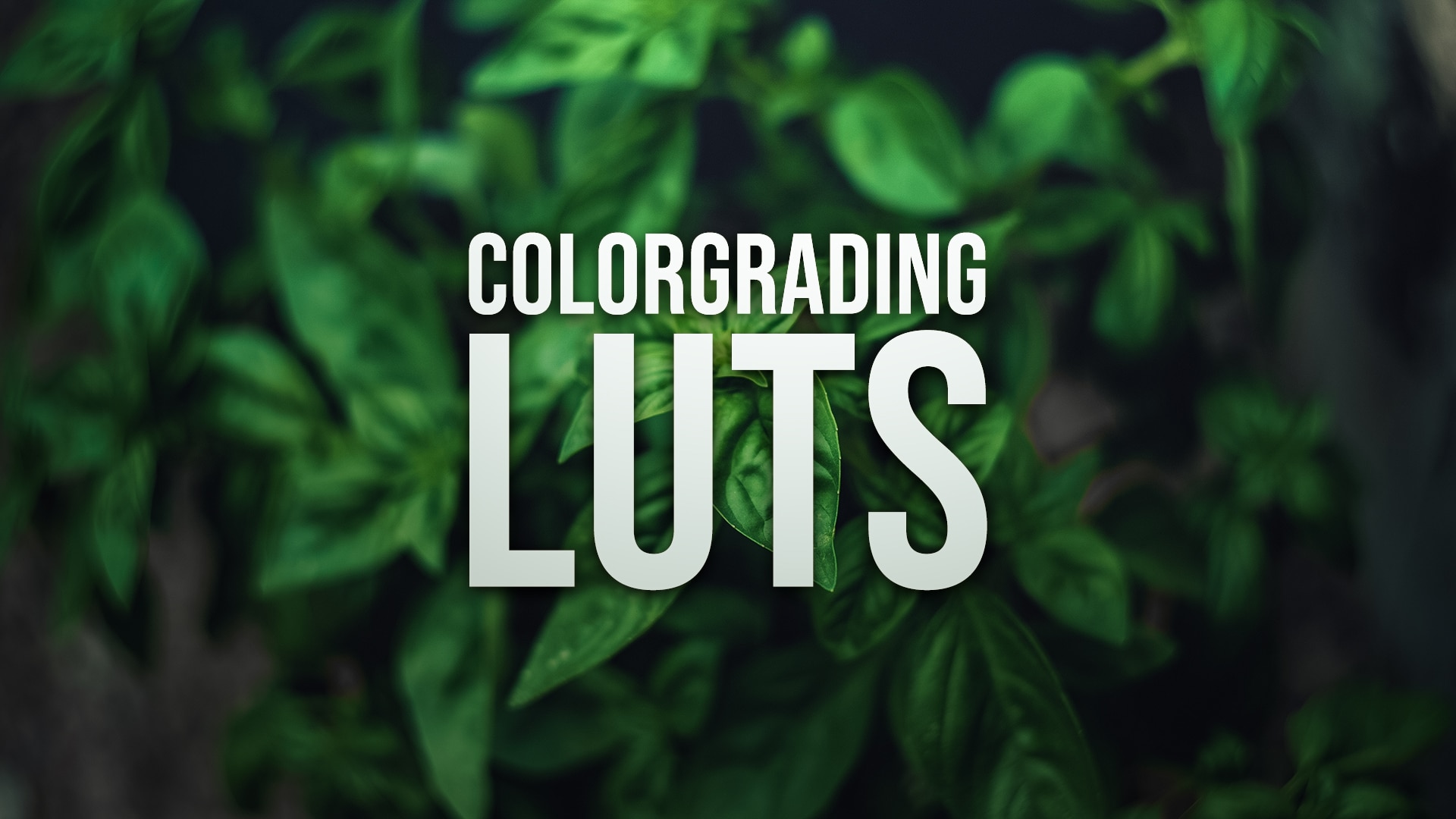 Color Grading 455+ LUTs